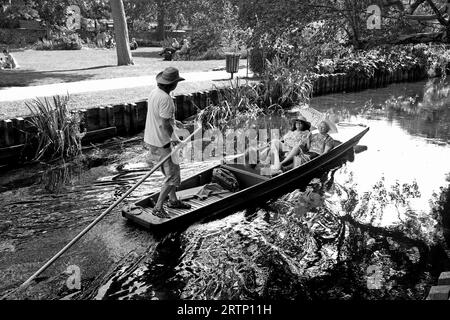 Punting sur la rivière Stour à Canterbury, Kent, Royaume-Uni. Les gens appréciant Englands les touristes indiens d'été apprécient l'ombre sur la rivière stour dans le Westgat Banque D'Images