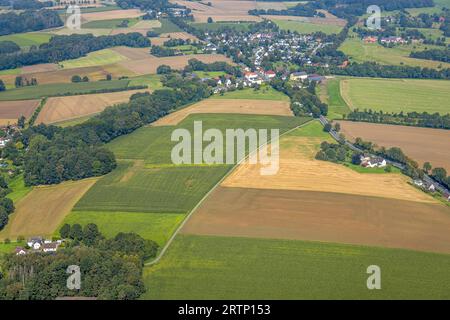 Luftbild, Schürenfeld Wiesen und Felder und Unnaer Straße zum Ortsteil Strickherdicke, Dellwig, Fröndenberg, Ruhrgebiet, Rhénanie-du-Nord-Westphalie, Deutschland ACHTUNGxMINDESTHONORARx60xEURO *** vue aérienne, Schürenfeld prairies et champs et Unnaer Straße à Strickherdicke, Dellwig, Fröndenberg, région de la Ruhr, Rhénanie du Nord Westphalie, Allemagne ATTENTIONxMINESTHONORARx60xEURO Banque D'Images