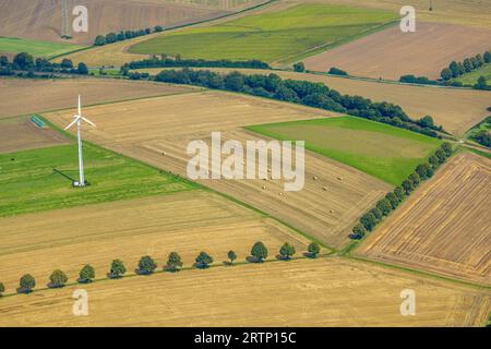 Luftbild, Windrad und Wiesen und Felder mit Baumallee, Frömern, Fröndenberg, Ruhrgebiet, Rhénanie-du-Nord-Westphalie, Deutschland ACHTUNGxMINDESTHONORARx60xEURO *** vue aérienne, éolienne et prairies et champs avec allée arborée, Frömern, Fröndenberg, région de la Ruhr, Rhénanie du Nord Westphalie, Allemagne ATTENTIONxMINESTHONORARx60xEURO Banque D'Images