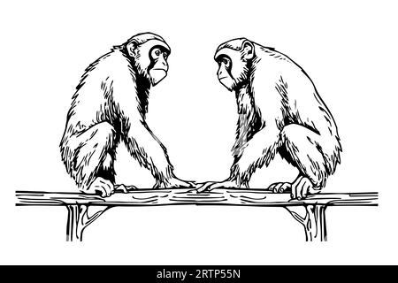 Deux singes assis sur une branche. Illustration vectorielle de gravure d'esquisse d'encre. Illustration de Vecteur