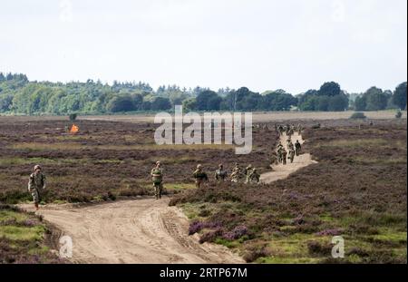 EDE - les parachutistes reviennent après avoir chuté au-dessus de la Heide de Ginkelse pendant la journée médiatique de l'exercice international de parachutisme Falcon Leap. Les bérets rouges s'entraînent avec les alliés de l'OTAN pour déposer des soldats et du matériel. Lors des missions militaires, les zones difficiles d'accès peuvent être approvisionnées de cette manière. ANP JEROEN JUMELET pays-bas Out - belgique Out Banque D'Images