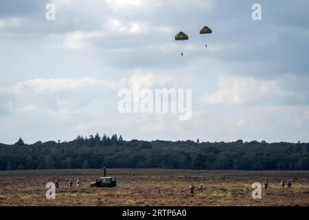 EDE - les parachutistes sont largués au-dessus de la Heide de Ginkelse lors de la journée médiatique de l'exercice international de parachutisme Falcon Leap. Les bérets rouges s'entraînent avec les alliés de l'OTAN pour déposer des soldats et du matériel. Lors des missions militaires, les zones difficiles d'accès peuvent être approvisionnées de cette manière. ANP JEROEN JUMELET pays-bas Out - belgique Out Banque D'Images