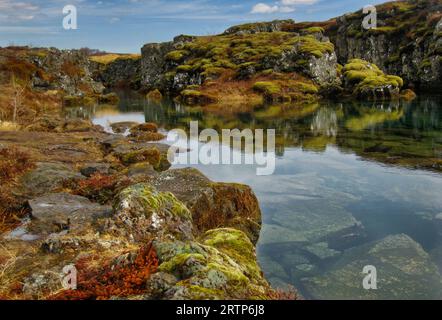 Mousses poussant autour d'un étang naturel en Islande Banque D'Images