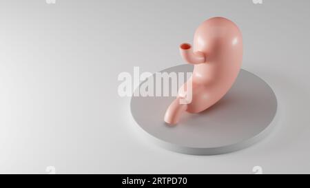 Illustration isométrique 3d de l'estomac humain stylisé sur piédestal gris. Inspiré par les tendances du design plat Banque D'Images