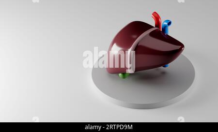 Illustration isométrique 3d d'un foie humain stylisé avec vésicule biliaire sur piédestal gris. Inspiré par les tendances du design plat Banque D'Images