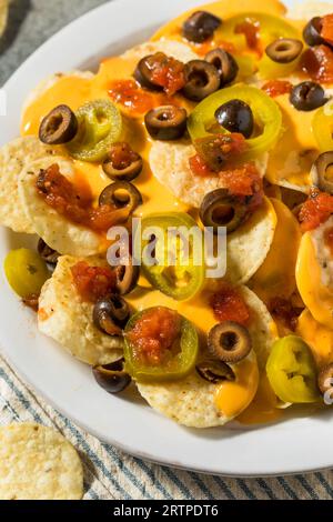 Nachos mexicains de base faits maison avec fromage Jalapeno et olives Banque D'Images