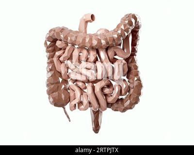 3d illustration de l'organe interne humain hypopoly abstrait - intestin. Gros et petit intestin isolés sur blanc Banque D'Images