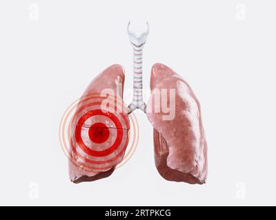 Concept de maladie ou de douleur des poumons humains isolés sur blanc avec signe de douleur rouge dessus. illustration 3d. Banque D'Images