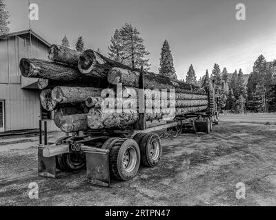 Photo en noir et blanc d'un camion forestier stationné avec du bois empilé chargé sur une remorque. Banque D'Images