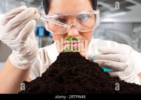 Gros plan de scientifique agricole versant du liquide sur une plante travaillant en laboratoire, focalisation sélective sur la plante Banque D'Images