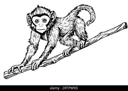 Singe assis sur une branche. Illustration vectorielle de gravure d'esquisse d'encre. Illustration de Vecteur