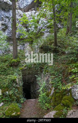 Grottes de Goyet près de Mozet, Gesves, Namur, Wallonie, Belgique. L'habitation néandertalienne des grottes calcaires remonte au Paléolithique moyen Banque D'Images