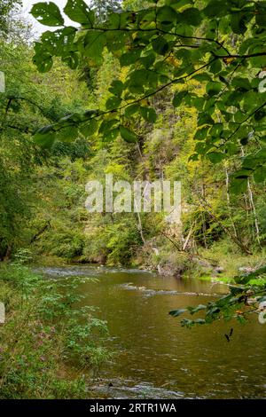 Vue sur la rivière Wutach dans la gorge Wutach dans la Forêt Noire, Allemagne Banque D'Images