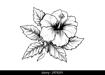 Fleurs d'hibiscus dans un style gravure sur bois vintage. Illustration vectorielle. Illustration de Vecteur