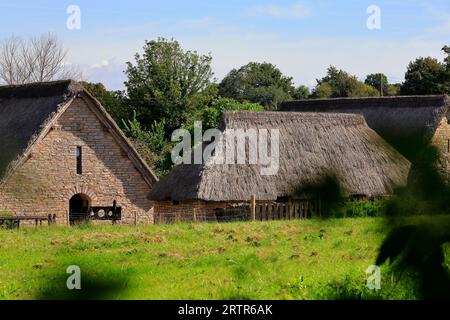 Village médiéval à Cosmeston Lakes et Country Park, pays de Galles du Sud. Prise en septembre 2023 Banque D'Images