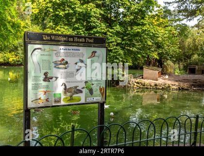 Panneaux d'information pour visiteurs à Mary Stevens Park, Stourbridge, Royaume-Uni. Banque D'Images
