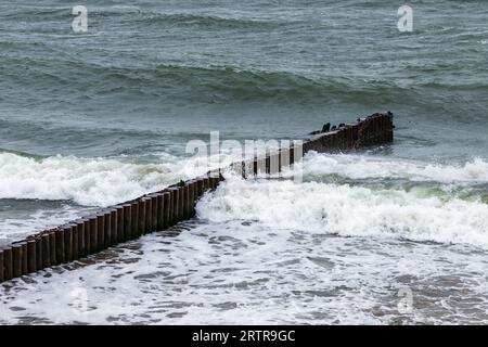 Les vagues se brisent à la structure de mur de brise-lames en bois, côte de la mer Baltique sur une journée d'été. Zelenogradsk, oblast de Kaliningrad, Russie Banque D'Images