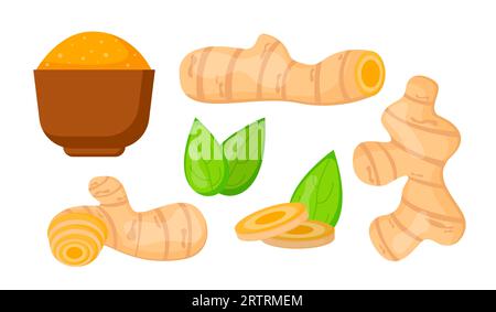 Ensemble de concept de vecteur de curcuma Illustration de Vecteur