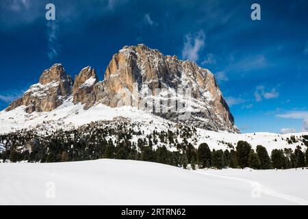 Montagnes enneigées, vue sur le groupe Sassolungo, hiver, col de Sella, Val Gardena, Dolomites, Tyrol du Sud, Italie Banque D'Images