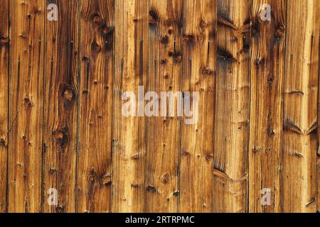 Fond, mur en bois avec grain fond naturel de planches en bois montrant de fins détails de grain en bois Banque D'Images