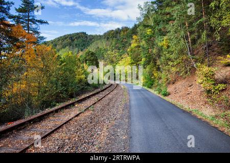 Route de campagne et l'ancienne voie de chemin de fer le long automne forêt vallonnée en basse Silésie, Pologne Banque D'Images