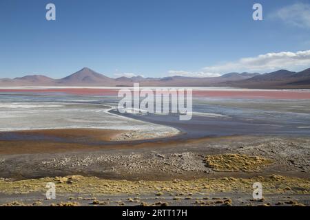 Laguna Colorada, Bollivia, 02 novembre 2015 : vue sur la Laguna colorada colorée dans la région des Andes Banque D'Images