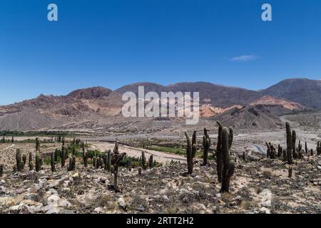 Vue depuis la forteresse pré-inca Pucara de Tilcara dans le nord-ouest de l'Argentine Banque D'Images