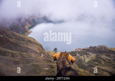 Chien regardant le lac de cratère volcanique à Quilotoa, Équateur. Quilotoa est un endroit populaire à visiter Banque D'Images