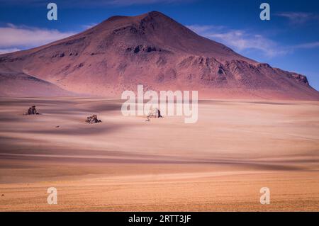 Paysage volcanique de l'Altiplano dans le sud de la Bolivie près de la frontière avec le Chili : à quelques centaines de kilomètres, lacs salés, volcans enneigés Banque D'Images