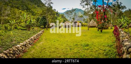 Photo de maisons traditionnelles dans village entouré de verdure en circuit Dani près de Wamena, Papouasie, Indonésie. Dans cette région, on ne peut que rencontrer des gens Banque D'Images