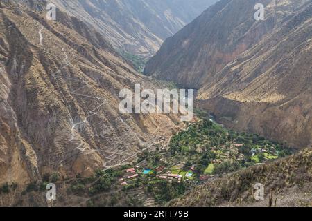 Sangalle, Pérou, 17 octobre 2015 : vue de l'oasis de Sangalle dans le Canyon du Colca Banque D'Images