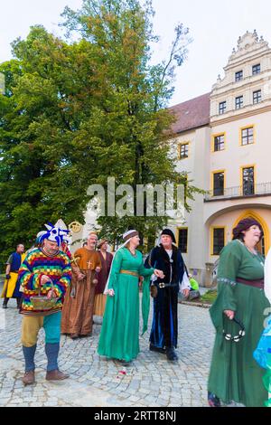 Fête de la vieille ville Bautzen 2018, eau, Art, lumière Banque D'Images