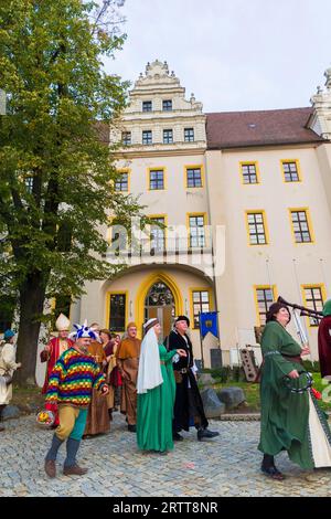 Fête de la vieille ville Bautzen 2018, eau, Art, lumière Banque D'Images