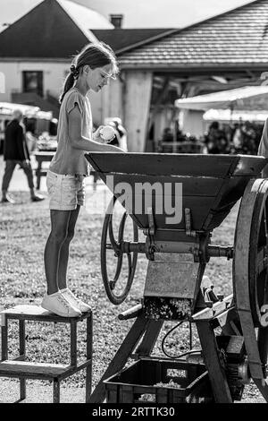 FRANCE. ALPES. ISÈRE (38) RÉGION DE MATHEYSINE. VILLAGE DE PIERRE-CHATEL. LE FESTIVAL DES RÉCOLTES RECRÉE LA VIE PAYSANNE EN ISÈRE AVANT L’ARRIVÉE DU THERM Banque D'Images