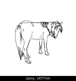 Esquisse de ligne abstraite de cheval avec une longue crinière tournée la tête pour regarder en arrière, portrait pleine longueur, illustration dessinée à la main Vector Illustration de Vecteur