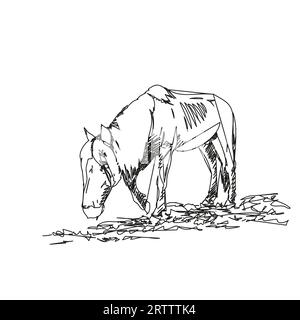 Croquis abstrait de cheval, cheval affamé avec des côtes saillantes marche lentement avec la tête vers le bas, portrait en longueur isolé vecteur de ligne noir et blanc Han Illustration de Vecteur