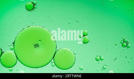 Gouttelettes d'huile sur fond de surface de l'eau. Fond vert abstrait. Banque D'Images