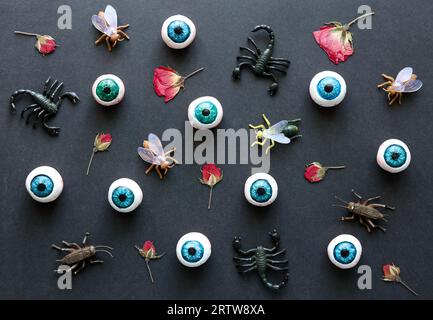 motif halloween avec globes oculaires, insectes et roses rouges sur fond noir Banque D'Images