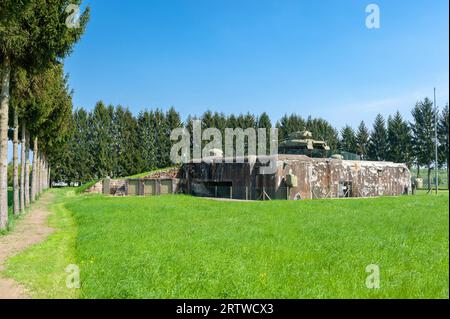 Esch Casemate dans le cadre de l'ancienne ligne Maginot. Ici bunker avec des chars M4 Sherman, Hatten, Alsace, France, Europe Banque D'Images