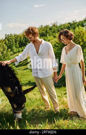 mariage rustique, nouveaux mariés interraciaux en lunettes de soleil tenant la main près de l'âne paissant dans le champ vert Banque D'Images