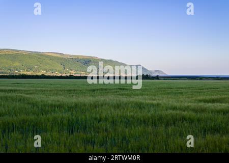 La vue vers Porlock Weir et Foreland point depuis le South West Coast Path près du hameau de Bossington dans le parc national d'Exmoor, Somerset, Angleterre. Banque D'Images