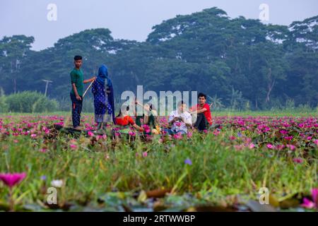 Les voyageurs se déplacent sur un petit bateau à l'intérieur d'un grand plan d'eau appelé `Shatla beel' rempli de nénuphars rouges, à Ujirpur dans Barisal. Bangladesh. Banque D'Images