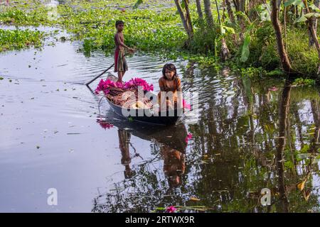 Des enfants ruraux bangladais ramassent des nénuphars dans un grand plan d'eau nommé 'Shatla beel' à Ujirpur dans le Barisal. Bangladesh. Banque D'Images