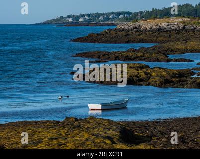 Le skiff de mer est assis dans l'océan à marée basse parmi les îles rocheuses couvertes d'algues en attente de travail. Banque D'Images