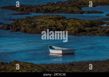 Le skiff de mer est assis dans l'océan à marée basse parmi les îles rocheuses couvertes d'algues en attente de travail. Banque D'Images