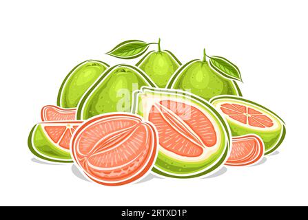 Logo vectoriel pour Green Pomelos, affiche horizontale décorative avec dessin animé pomelo fruité composition de nature morte, impression de fruits avec entier et haché Illustration de Vecteur
