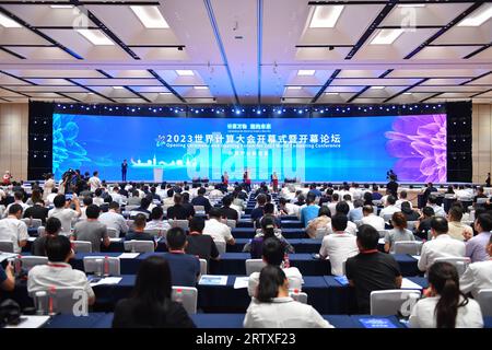 (230915) -- CHANGSHA, 15 septembre 2023 (Xinhua) -- cette photo prise le 15 septembre 2023 montre la cérémonie d'ouverture de la Conférence mondiale sur l'informatique 2023 à Changsha, dans la province du Hunan en Chine centrale. La Conférence mondiale de l'informatique 2023 a débuté vendredi à Changsha. La conférence, avec le thème «calculer le monde pour créer Une nouvelle ère-de nouveaux changements dans l'industrie informatique», a été organisée par le gouvernement provincial du Hunan et le ministère de l'Industrie et de la technologie de l'information. Outre la cérémonie d'ouverture et le forum d'ouverture, 13 activités thématiques, concours et exposition Banque D'Images