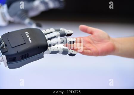 (230915) -- CHANGSHA, 15 septembre 2023 (Xinhua) -- Un visiteur interagit avec un robot de service lors de la Conférence mondiale sur l'informatique 2023 à Changsha, dans la province du Hunan en Chine centrale, le 15 septembre 2023. La Conférence mondiale de l'informatique 2023 a débuté vendredi à Changsha. La conférence, avec le thème «calculer le monde pour créer Une nouvelle ère-de nouveaux changements dans l'industrie informatique», a été organisée par le gouvernement provincial du Hunan et le ministère de l'Industrie et de la technologie de l'information. Outre la cérémonie d'ouverture et le forum d'ouverture, 13 activités thématiques, concours et expositions Banque D'Images