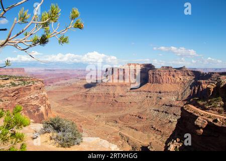 Vue sur le parc national de Canyonlands USA Utah Banque D'Images