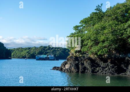 River FAL, Cornouailles, Royaume-Uni - août 2023 : vue de l'extérieur du jardin Trelissick à la péninsule de Roseland Banque D'Images